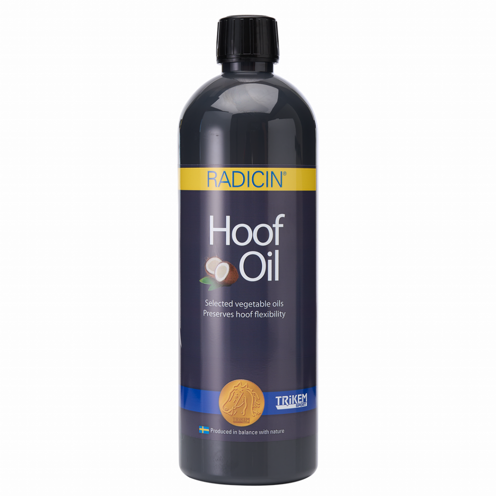 Globus Sport