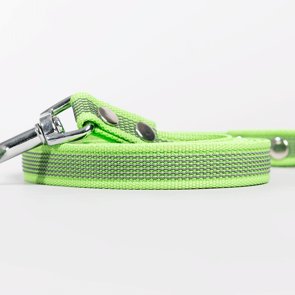 Globus Sport