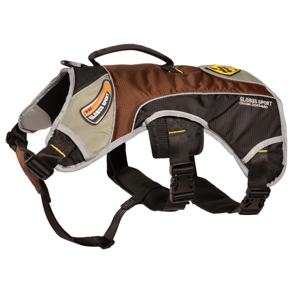 Globus Sport