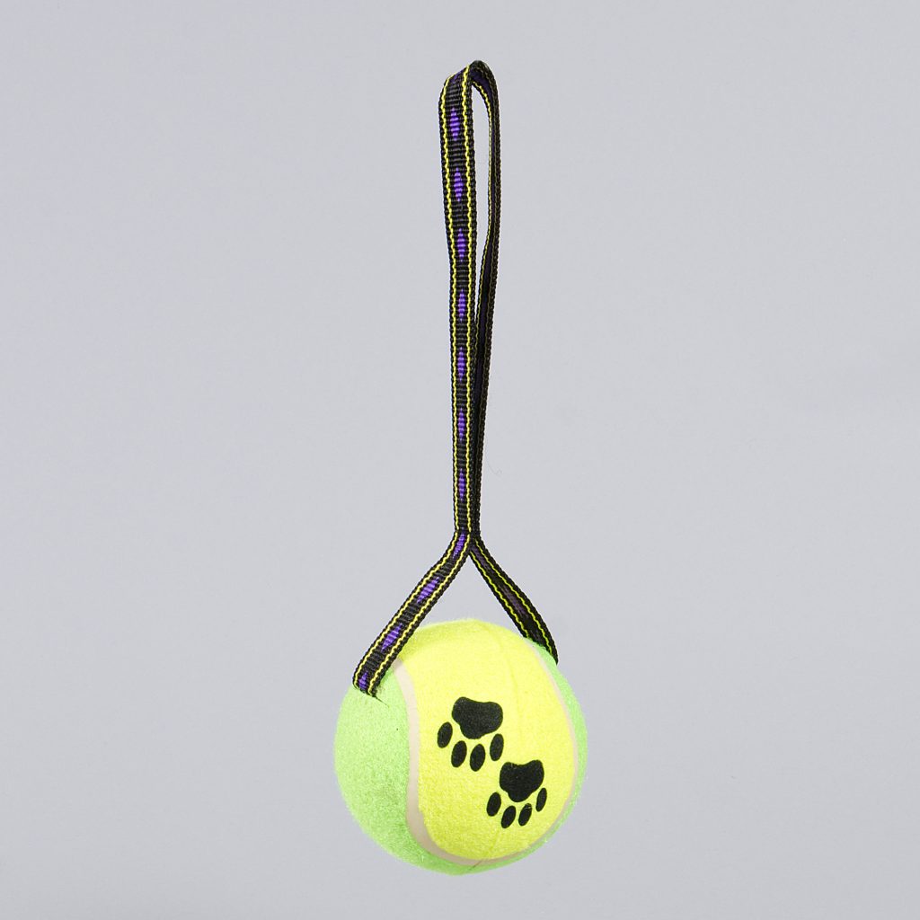 Globus Sport