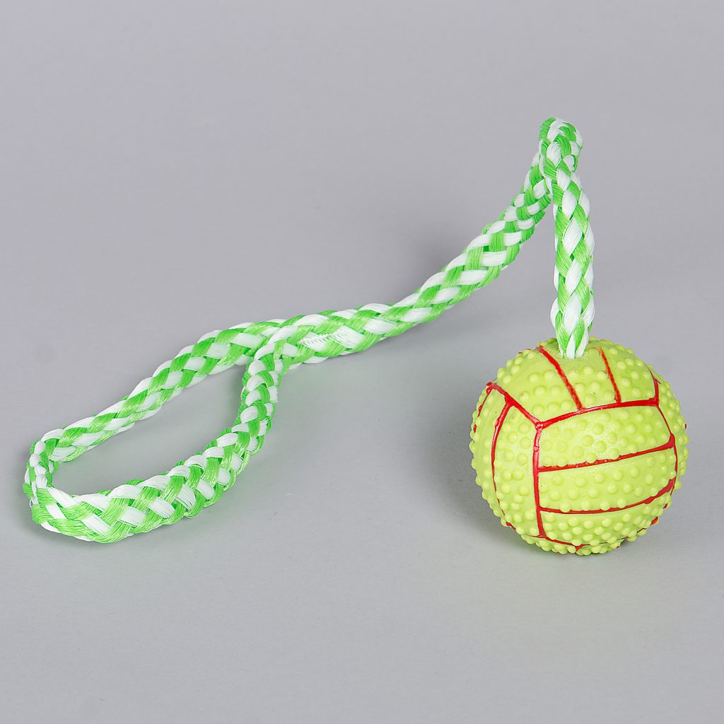 Globus Sport