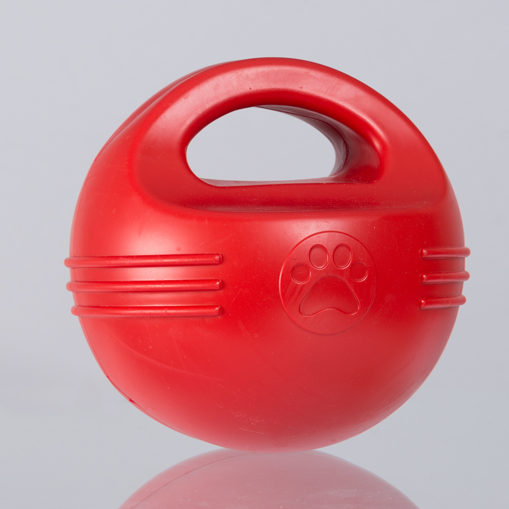 Globus Sport