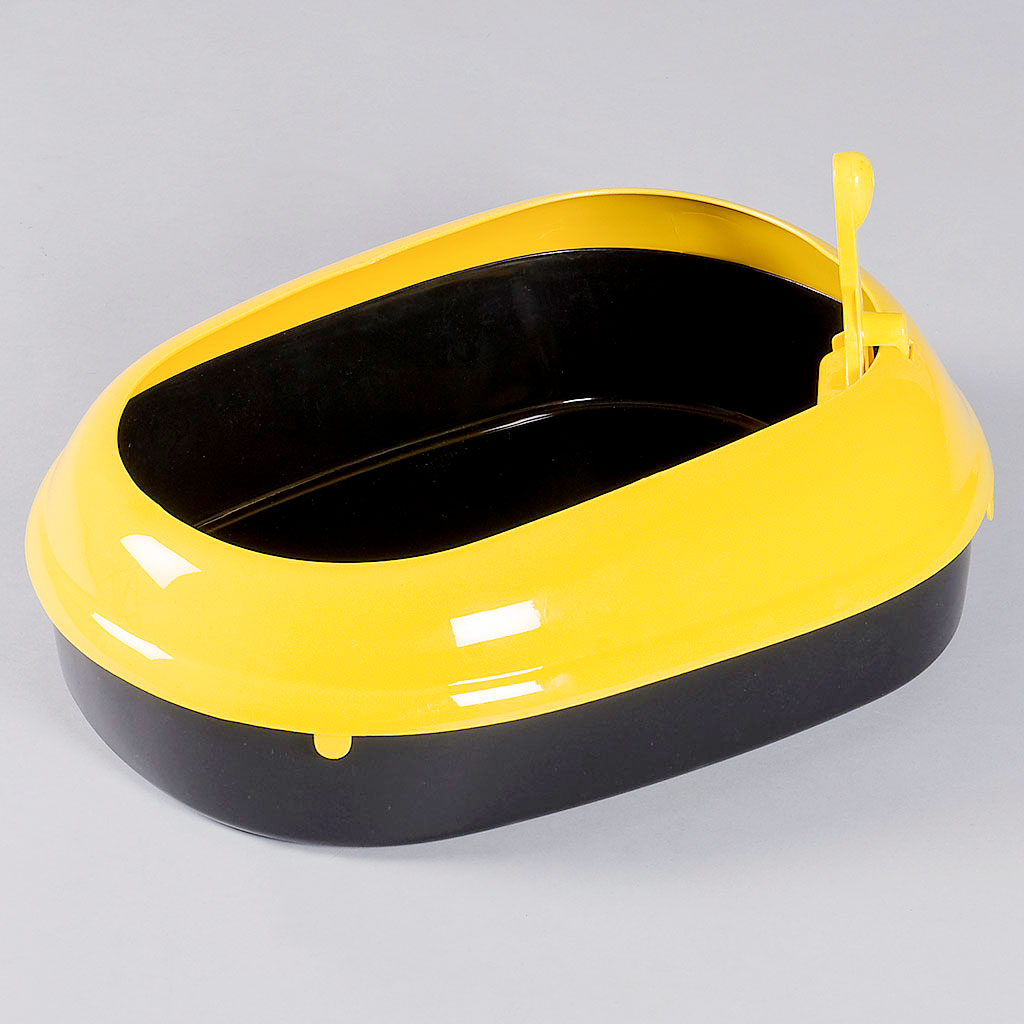 Globus Sport
