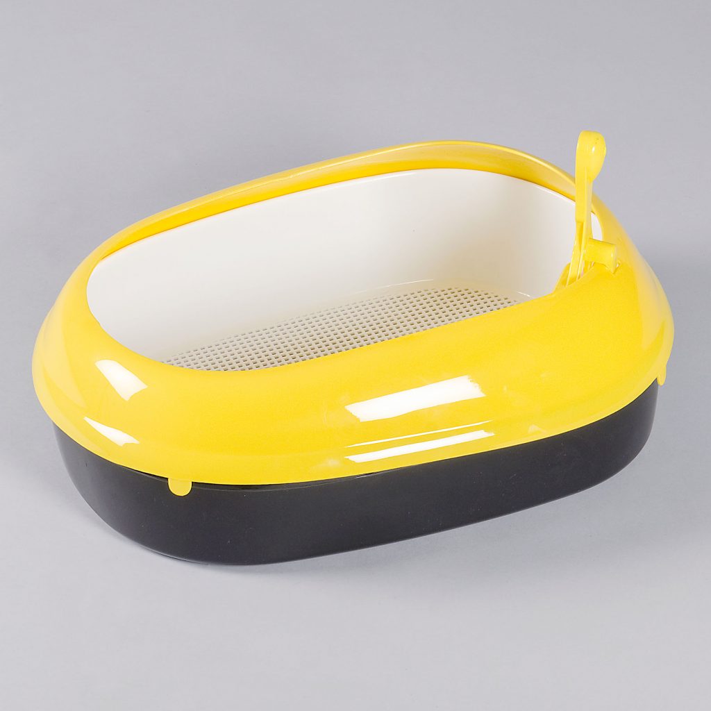 Globus Sport