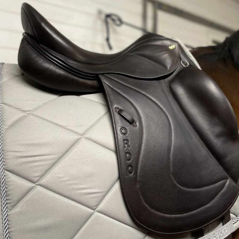 Globus Sport