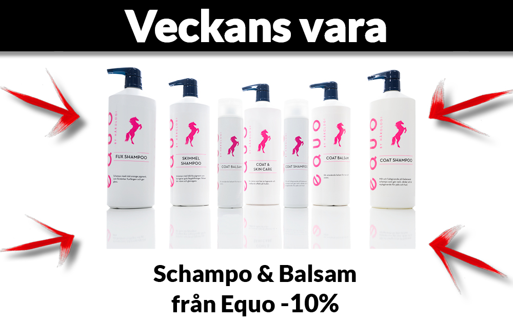 Globus Sport