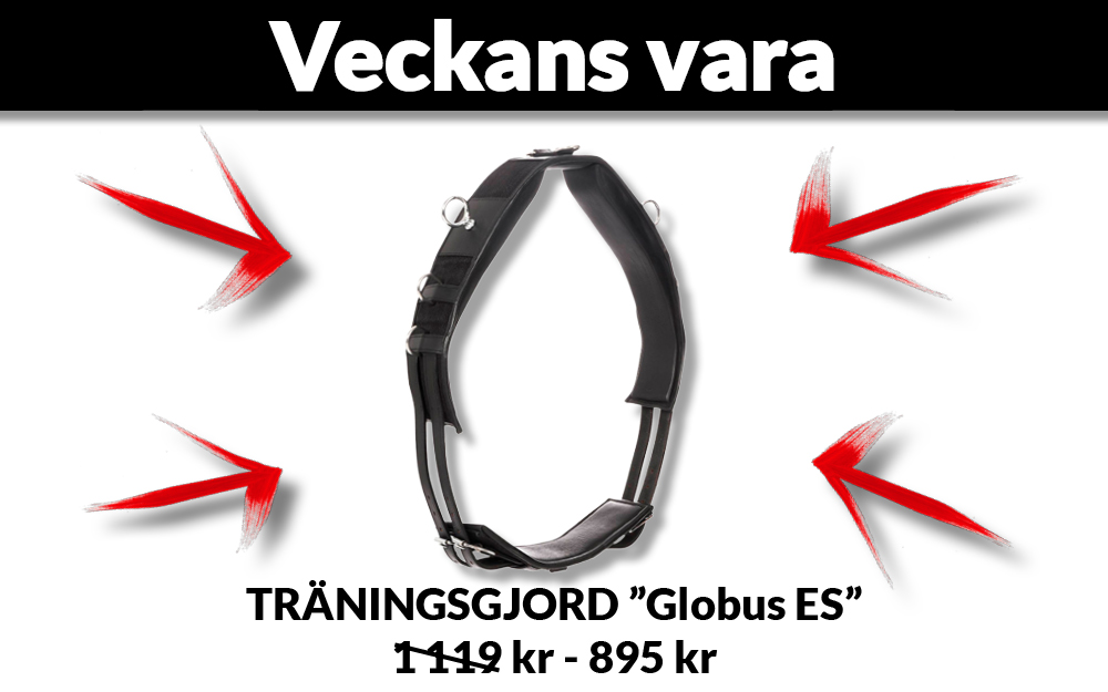 Globus Sport