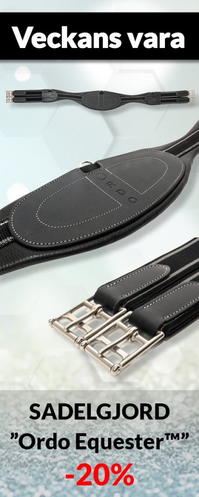 Globus Sport Webshop