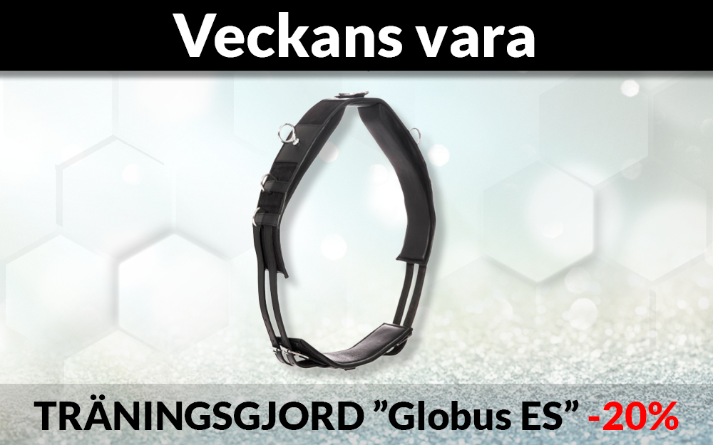 Globus Sport