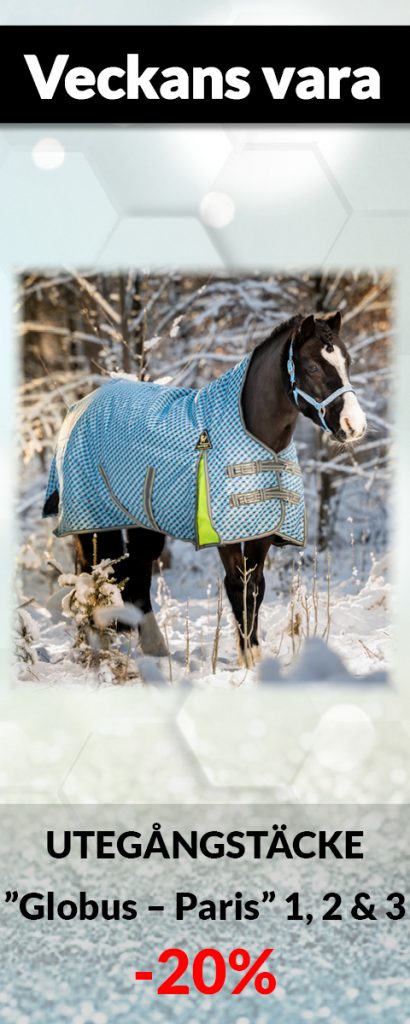 Globus Sport Webshop