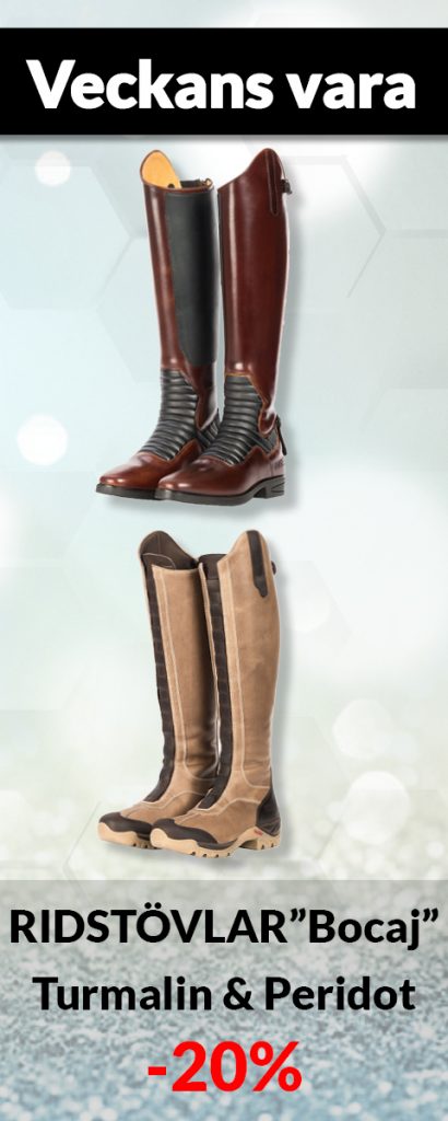 Globus Sport Webshop