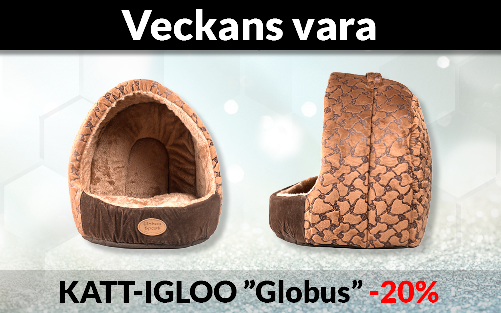 Globus Sport