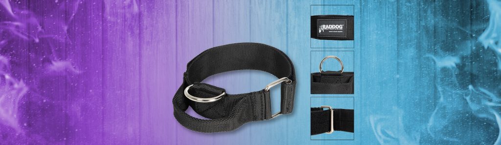 Globus Sport Webshop