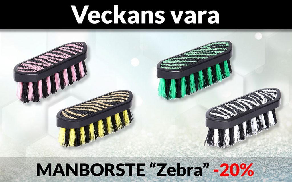 Globus Sport
