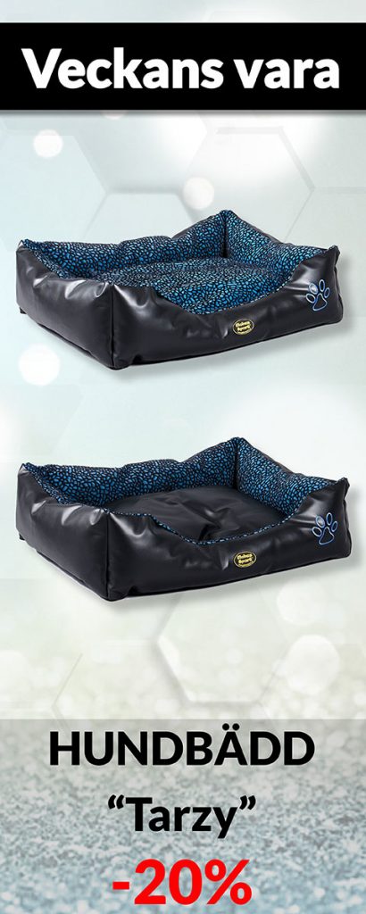 Globus Sport