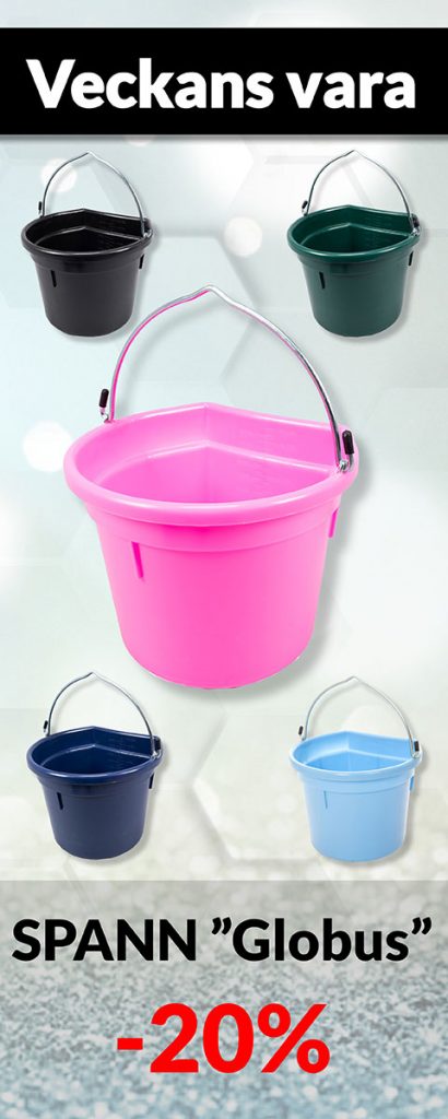 Globus Sport Webshop