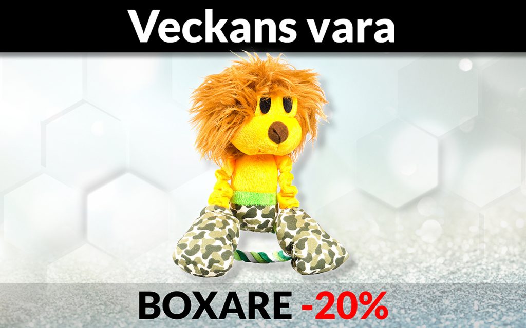 Globus Sport Webshop