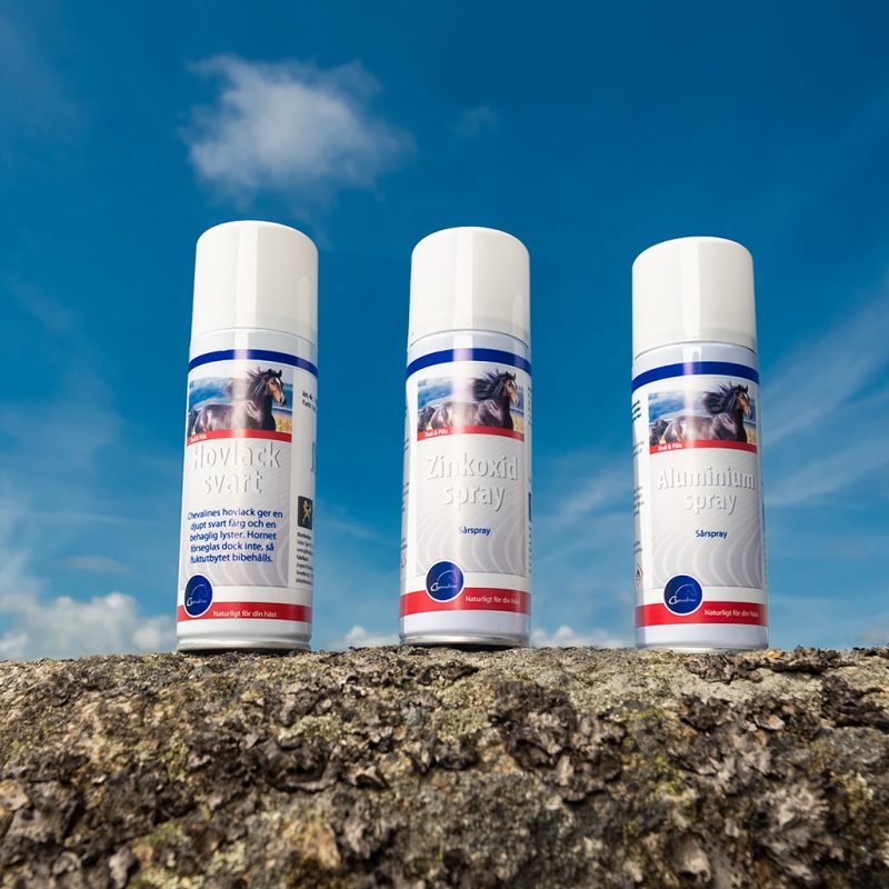 Globus Sport Webshop