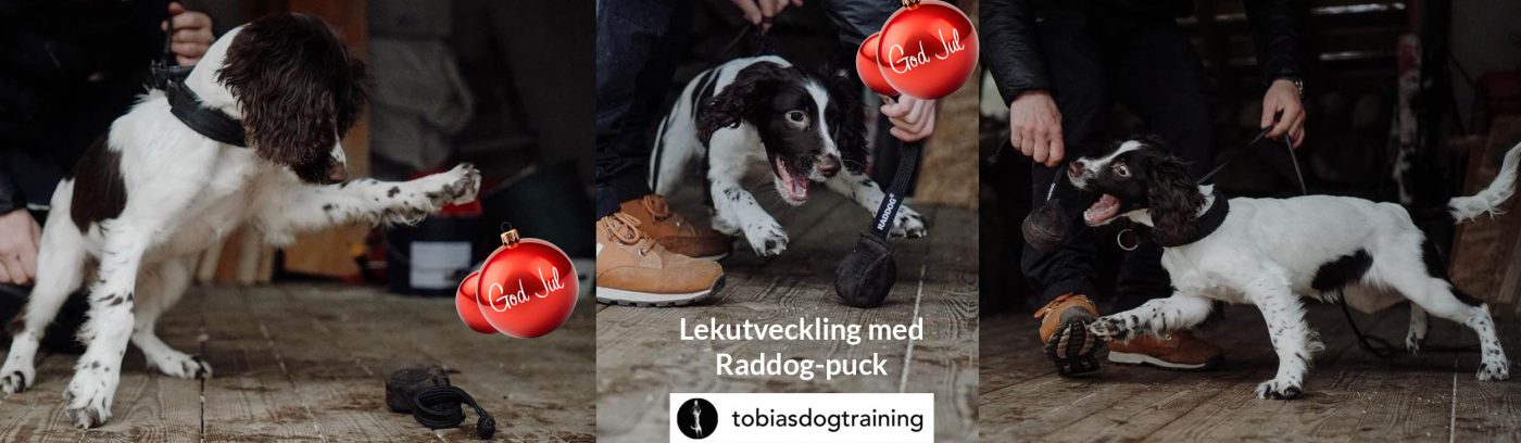 Globus Sport