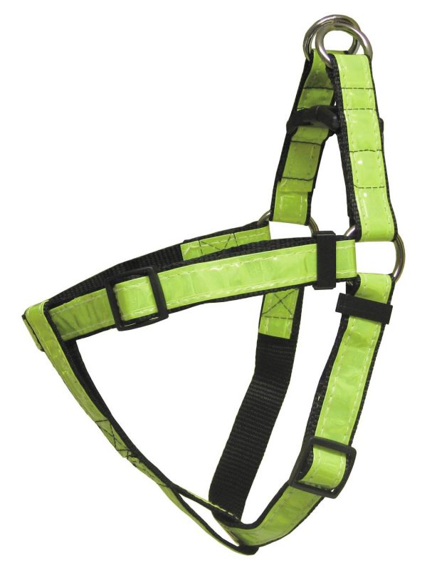 Globus Sport