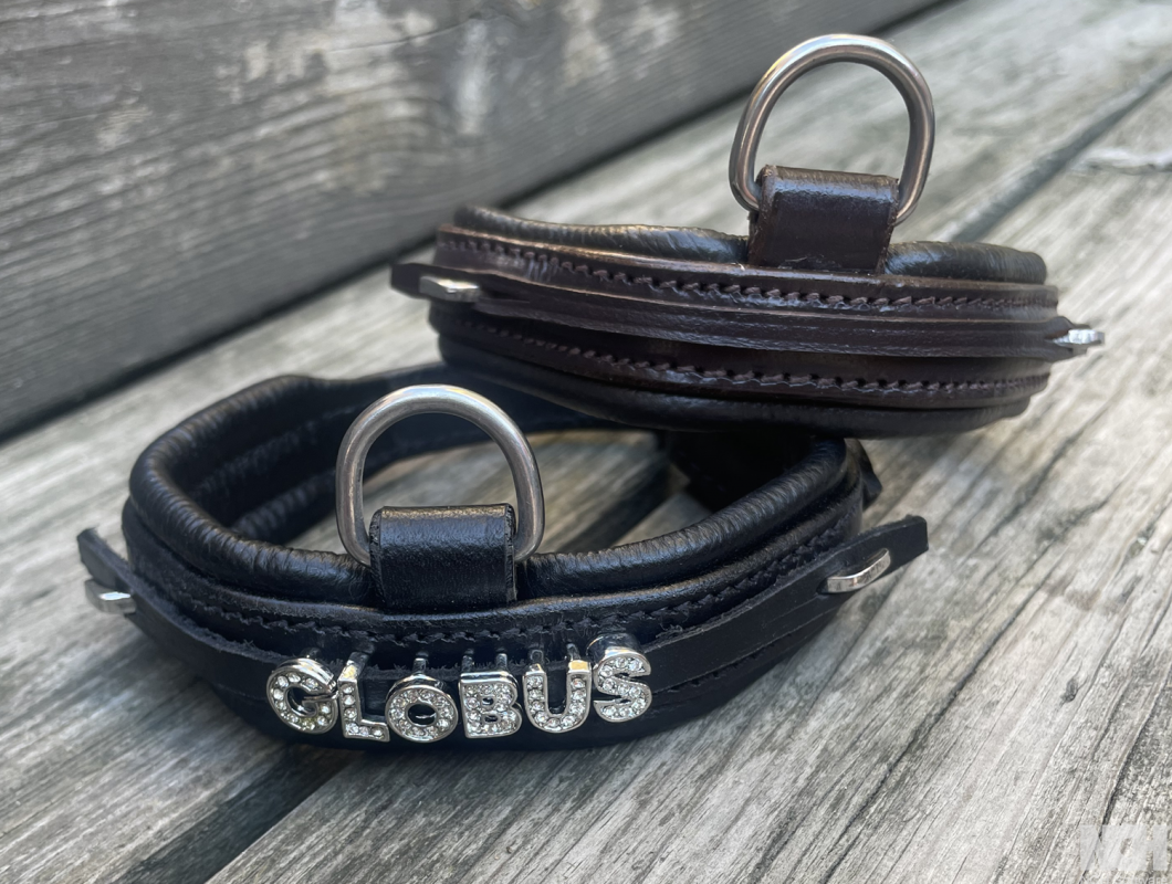 Globus Sport