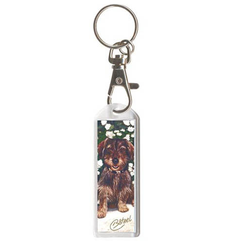 Globus Sport