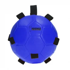 Maximus fun Play Ball