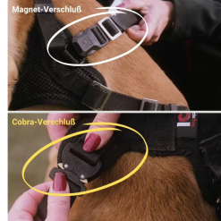 Alternative view of IQ Performance Pro - Cobra