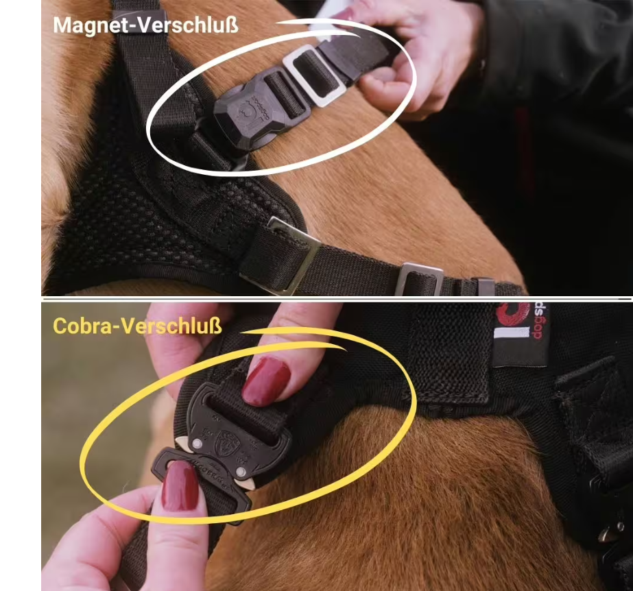 IQ Performance Pro - Click & Go - Bild 2