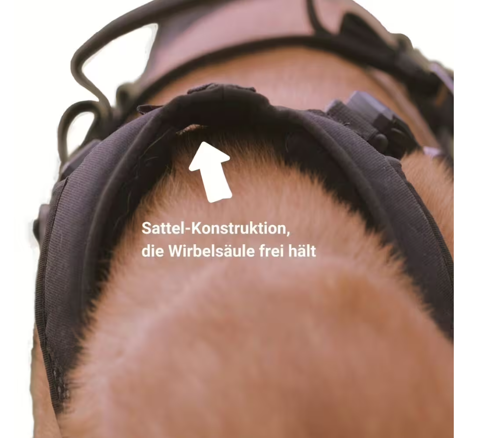 IQ Performance Pro - Click & Go - Bild 3