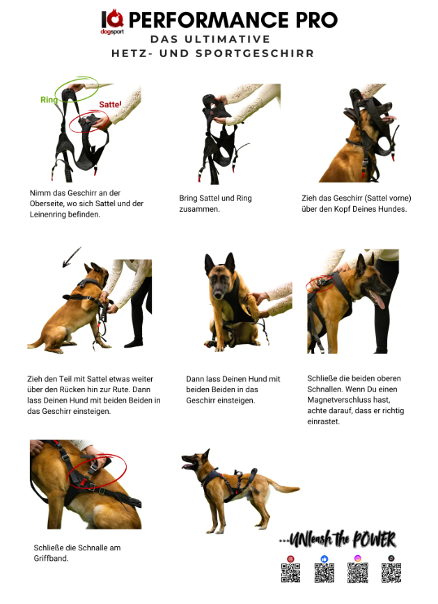 IQ Performance Pro - Click & Go - Bild 4