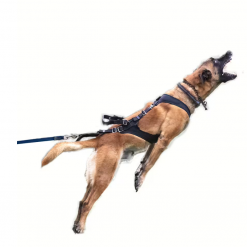 IQ Performance Pro - Cobra