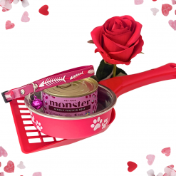 Alla Hjärtas Dag Paket – Katt