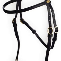 Alternative view of UPPVISNINGSGRIMMA