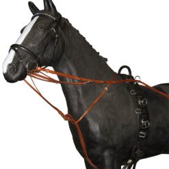 Alternative view of THIEDEMANNTÖM